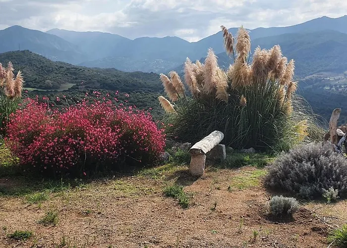 Appartement Vue De Rêve Calcatoggio (Corsica)